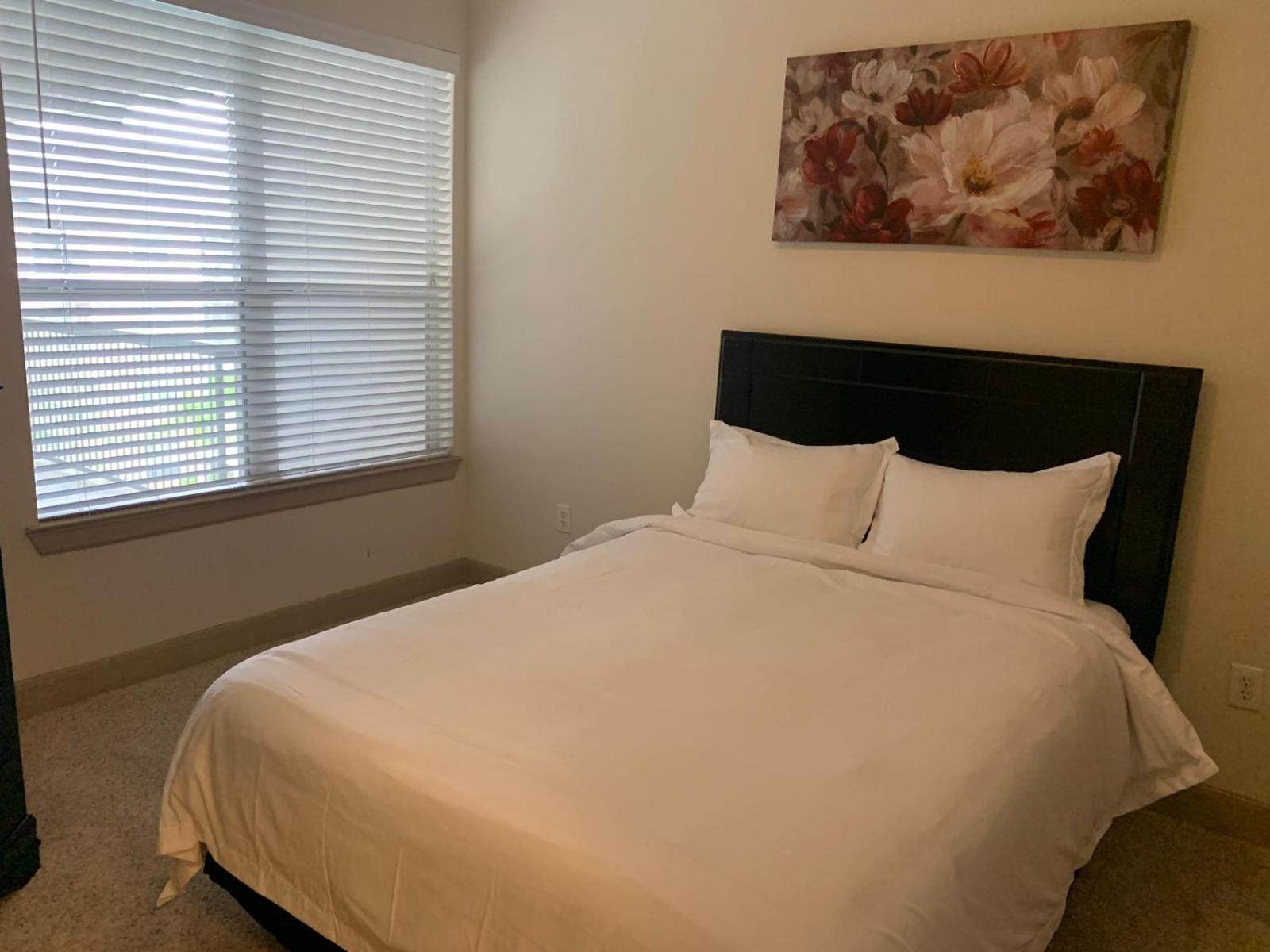 Gorgeous Furnished Apartments Near Texas Medical Center & Nrg Stadium Houston Rom bilde