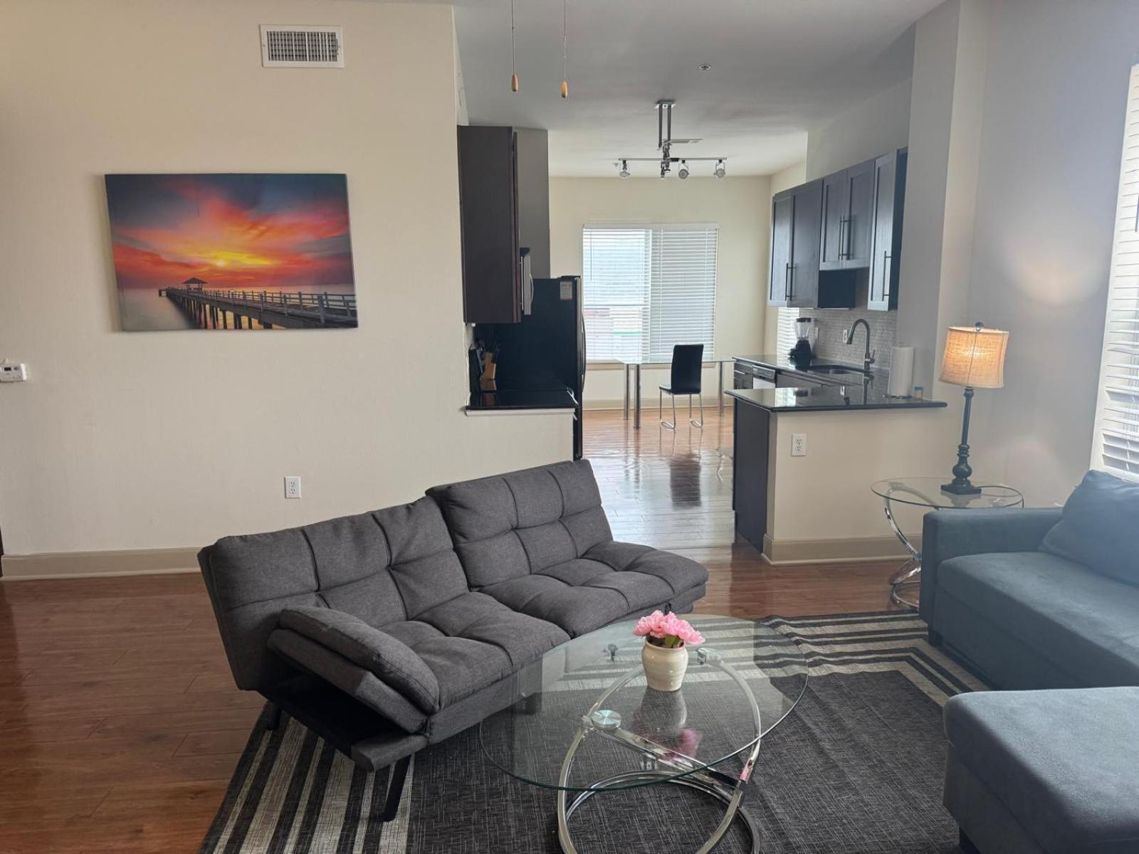 Gorgeous Furnished Apartments Near Texas Medical Center & Nrg Stadium Houston Rom bilde